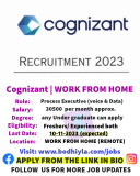 Cognizant is Hiring for Process Executive